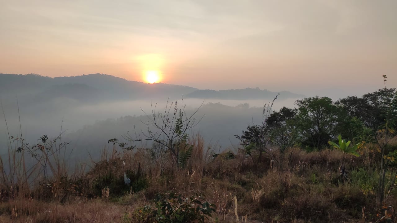 WhatsApp Image 2026-05-03 at 2.55.33 PM (1)